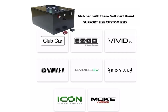 BMS সহ 60ah 100ah 200ah Lifepo4 গল্ফ কার্ট ব্যাটারি প্যাক 48V ডিপ সাইকেল