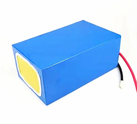 12V 24V 36V 48V 60V 72V লিথিয়াম টাইটানেট ব্যাটারি প্যাক 10AH 20AH 40AH 50AH 100ah